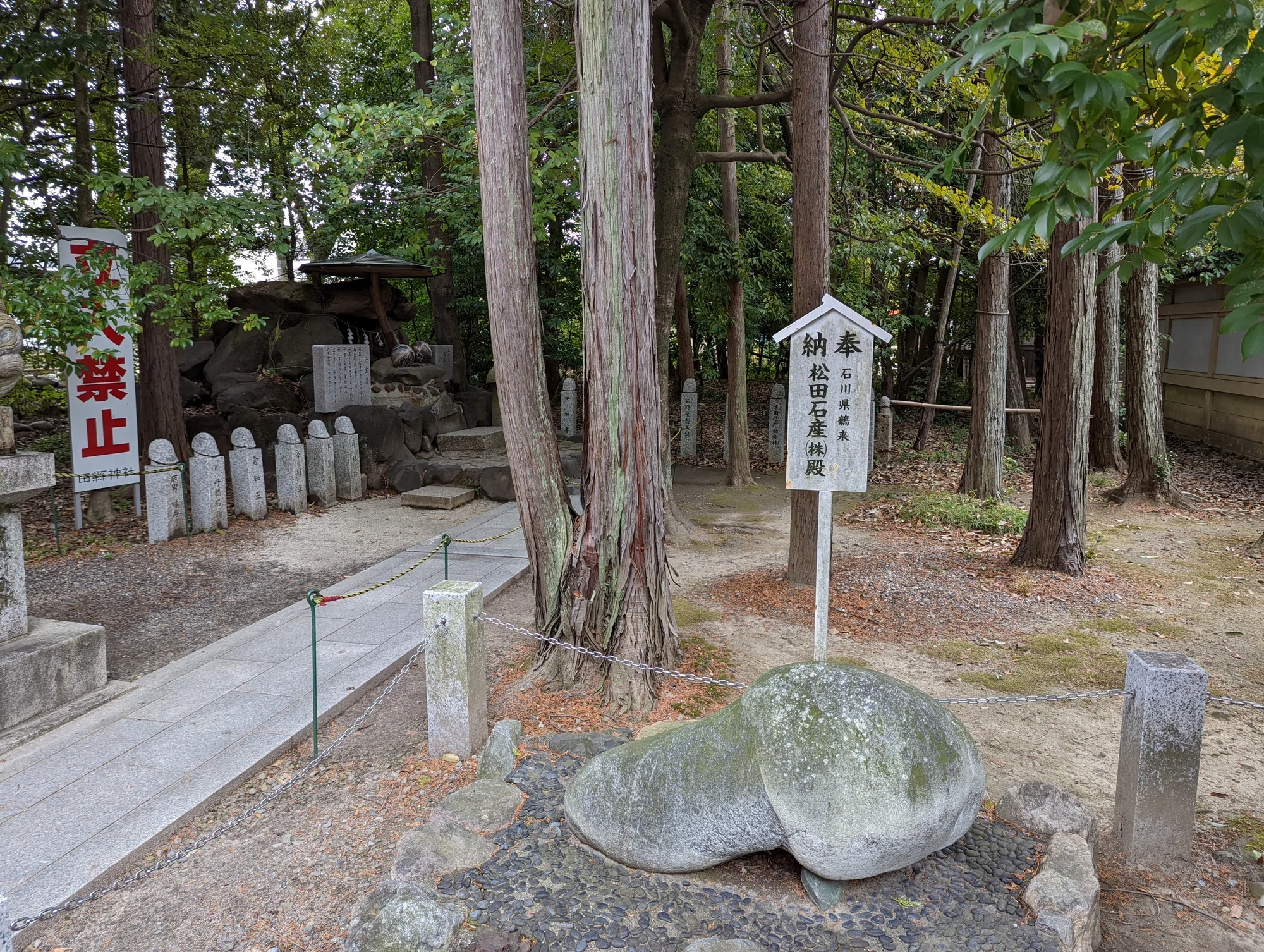 美濃古街&田縣神社&間間觀音寺包車一日遊(名古屋出發):圖片 18