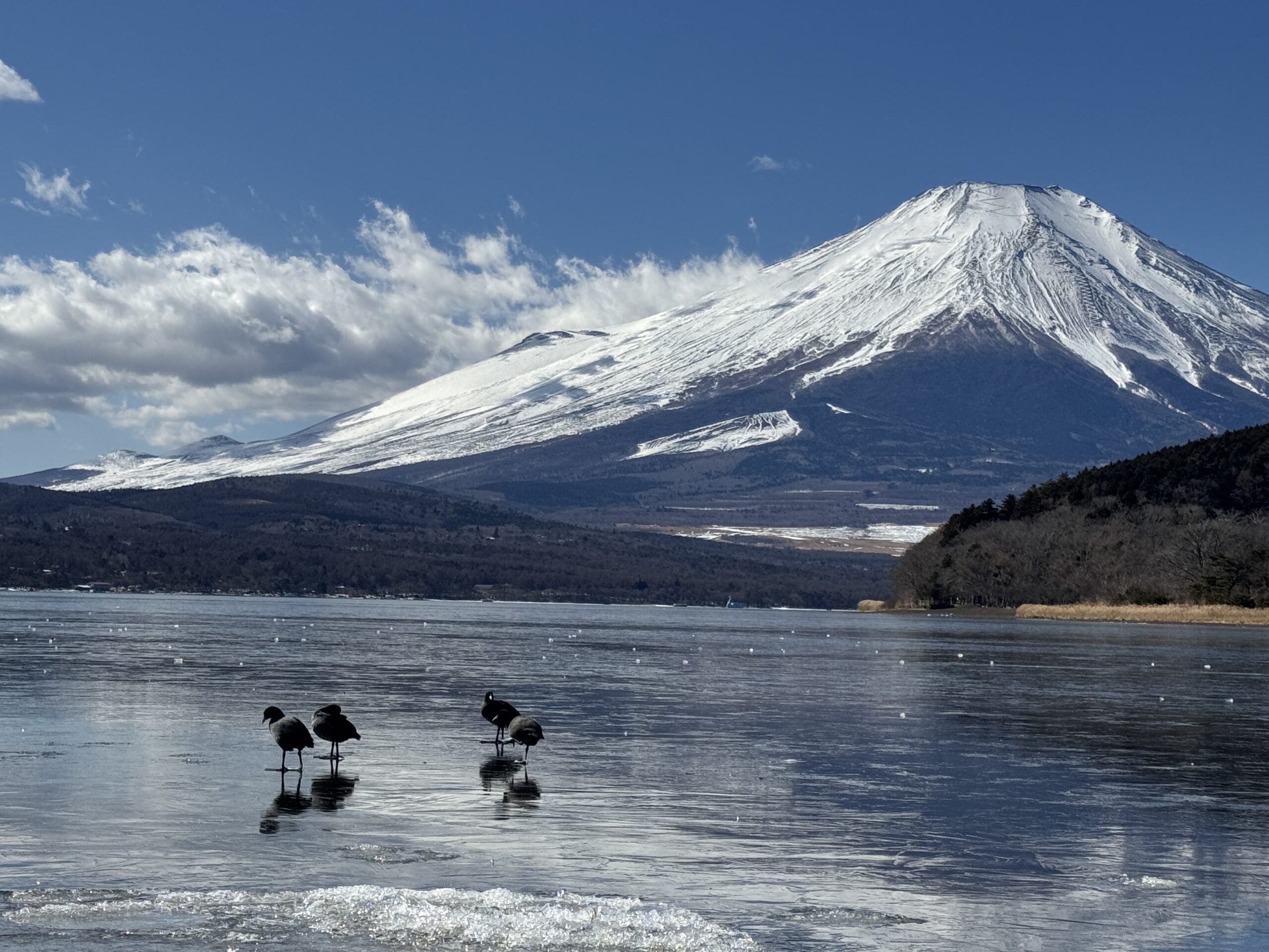 富士山河口湖私人包車一日遊 (東京出發):圖片 16