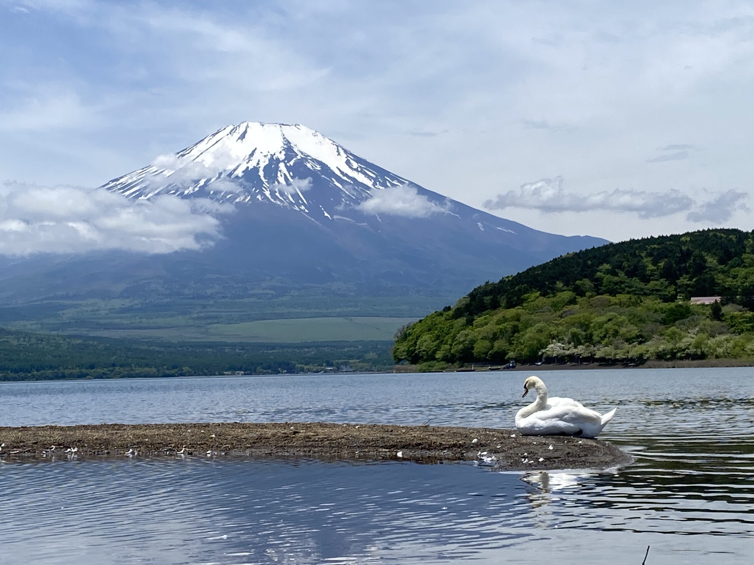 富士山河口湖私人包車一日遊 (東京出發):圖片 11