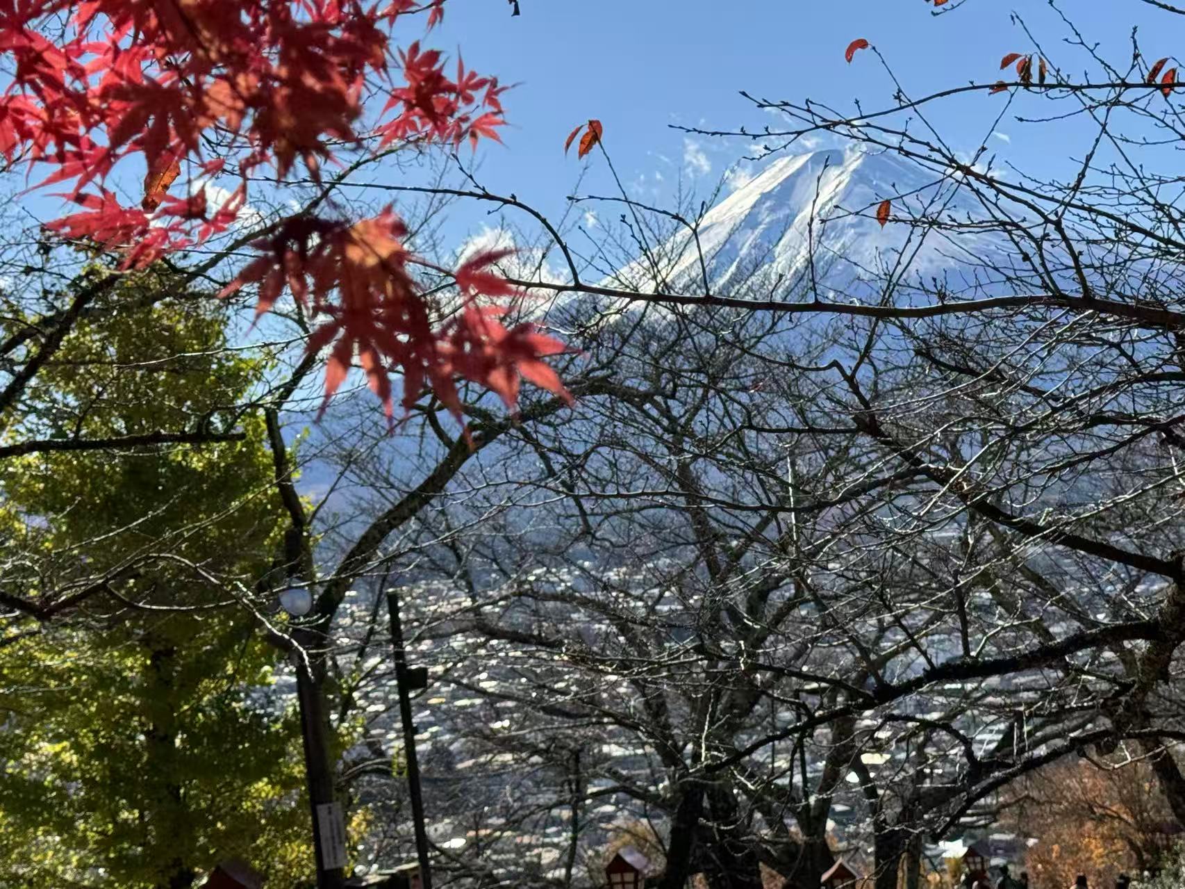 富士山河口湖私人包車一日遊 (東京出發):圖片 5