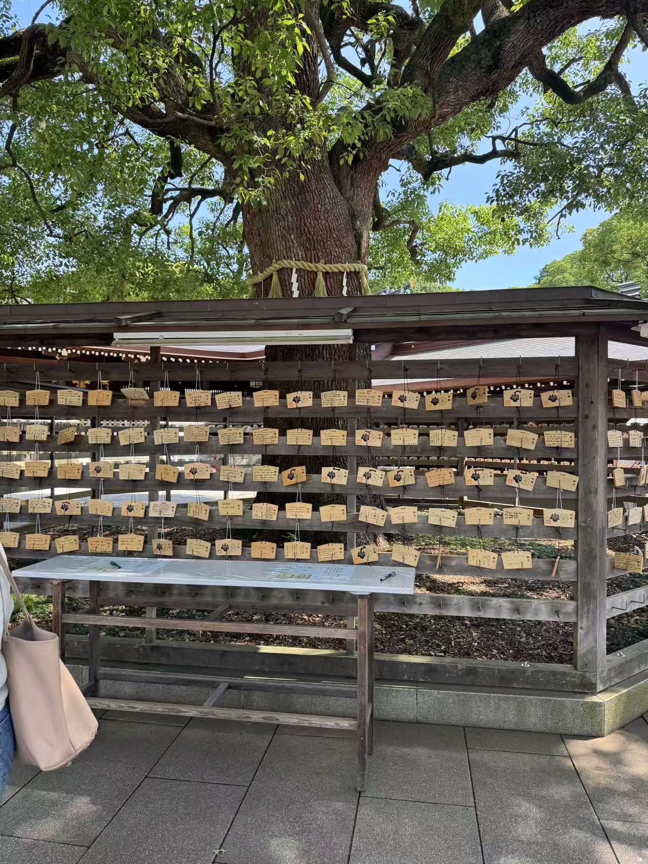 東京私人包車一日景點暢遊(行程可客製):圖片 13