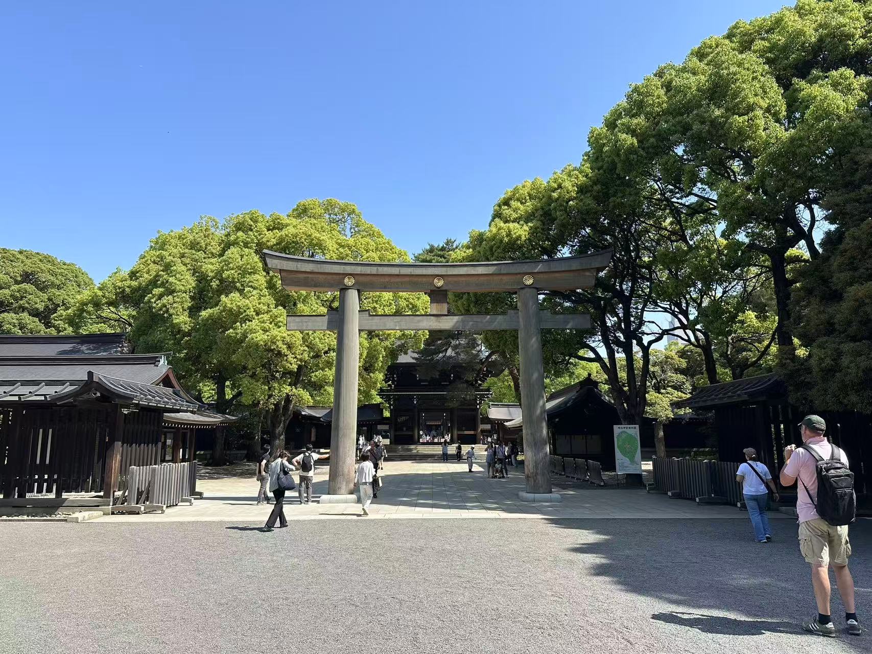 東京半日城市精華遊(含攝影師):圖片 13