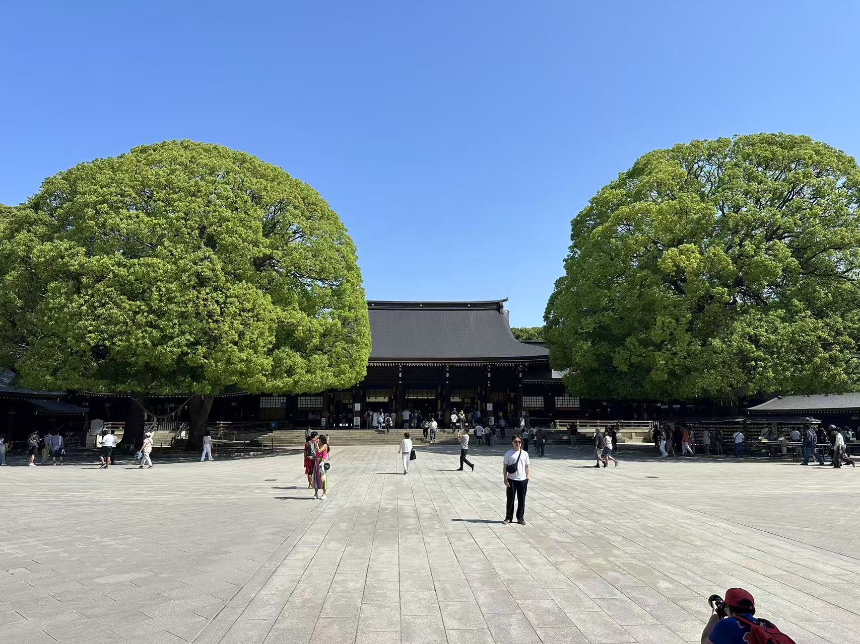 東京半日城市精華遊(含攝影師):圖片 11