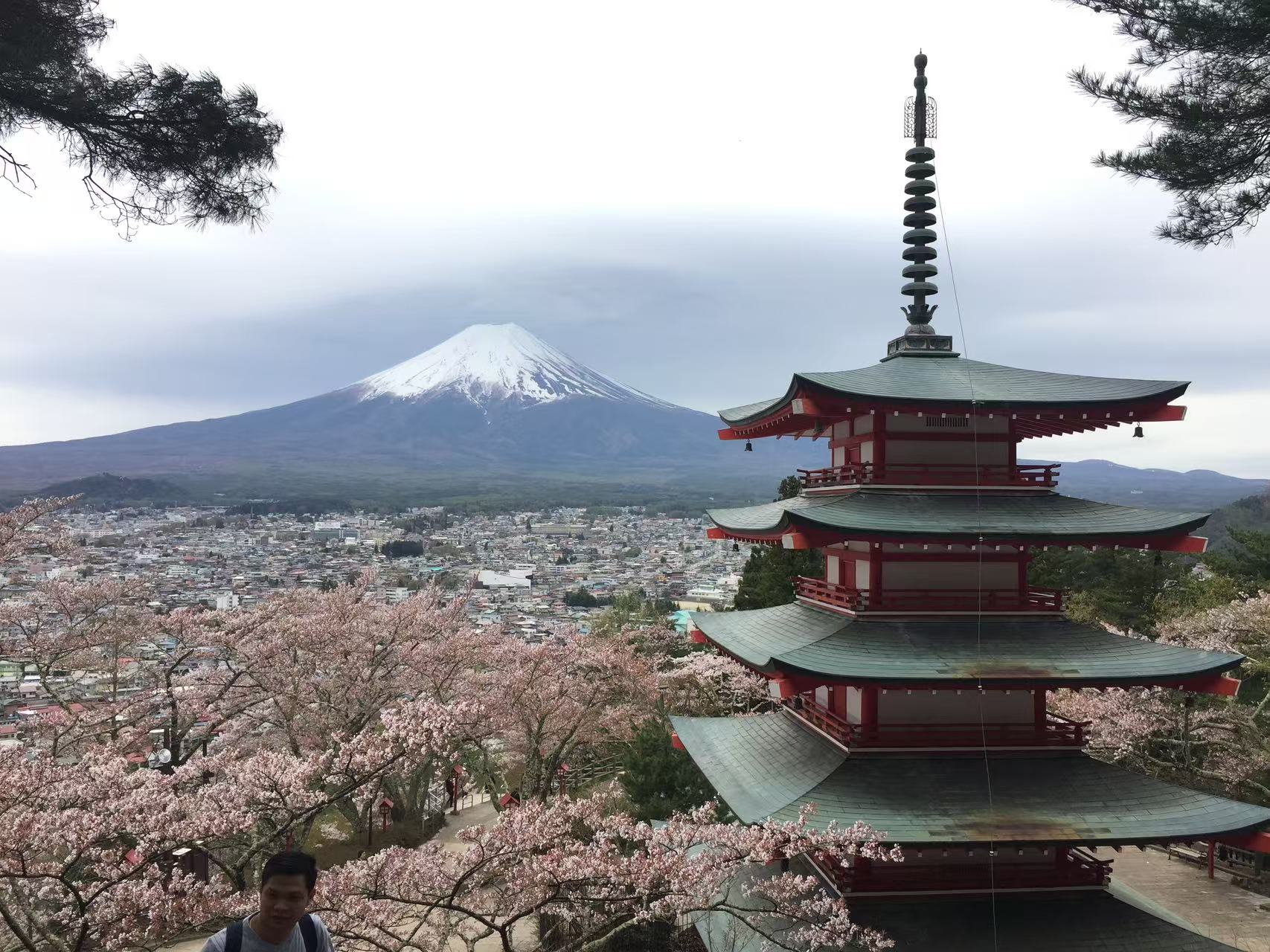 富士山河口湖私人包車一日遊 (東京出發):圖片 17