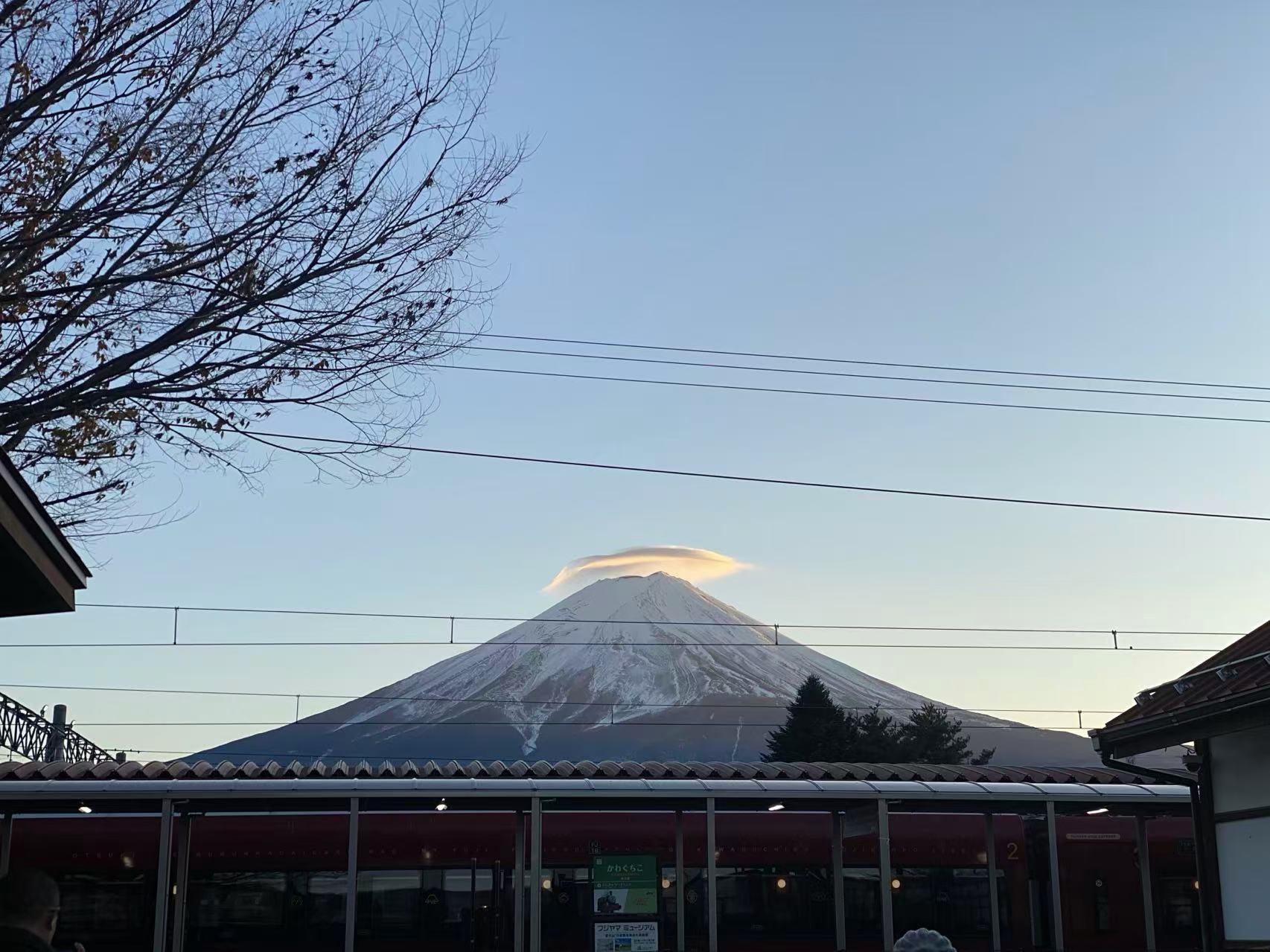 富士山河口湖私人包車一日遊 (東京出發):圖片 22