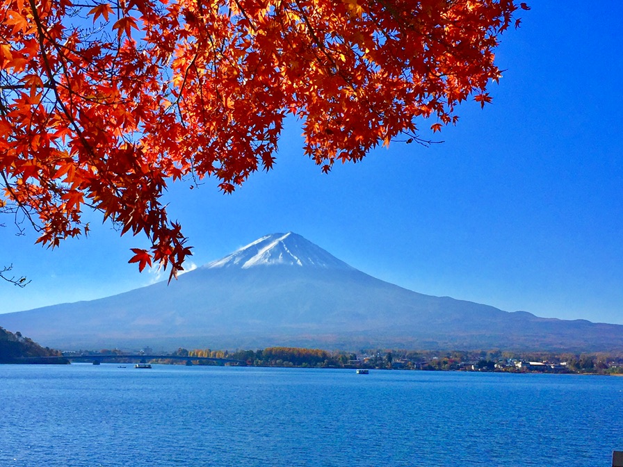 富士山河口湖私人包車一日遊 (東京出發):圖片 15