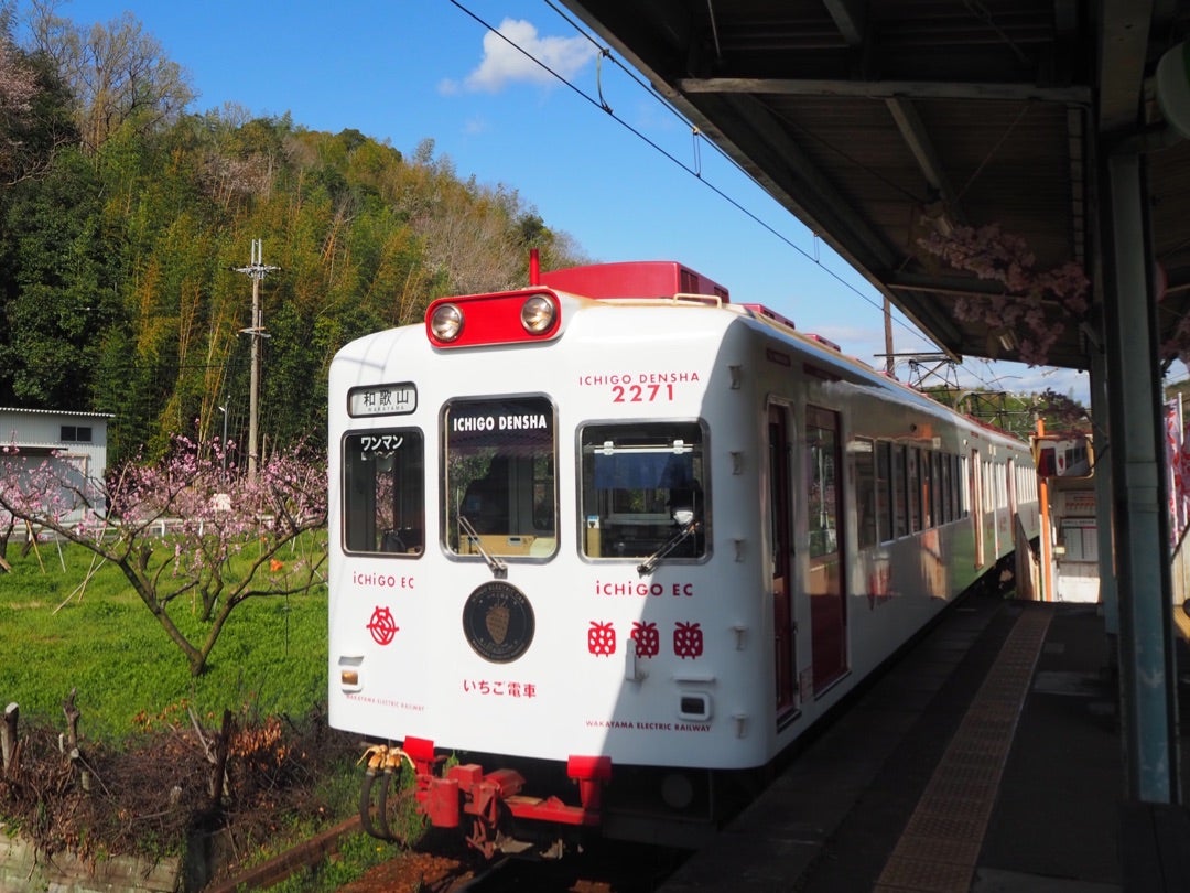 貴志車站與白濱一日私人包車之旅:圖片 7