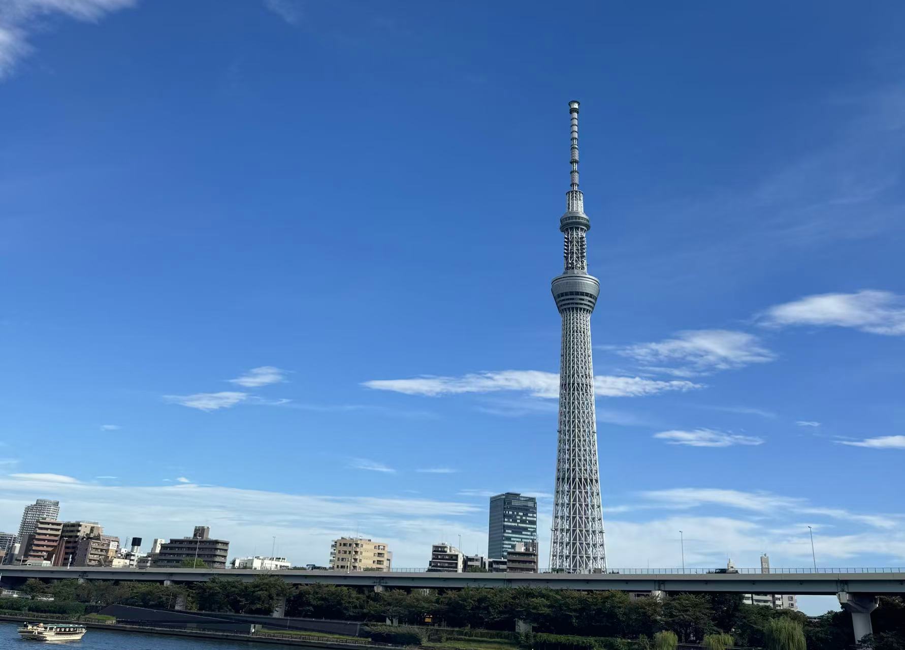 東京私人包車一日景點暢遊(行程可客製):圖片 6