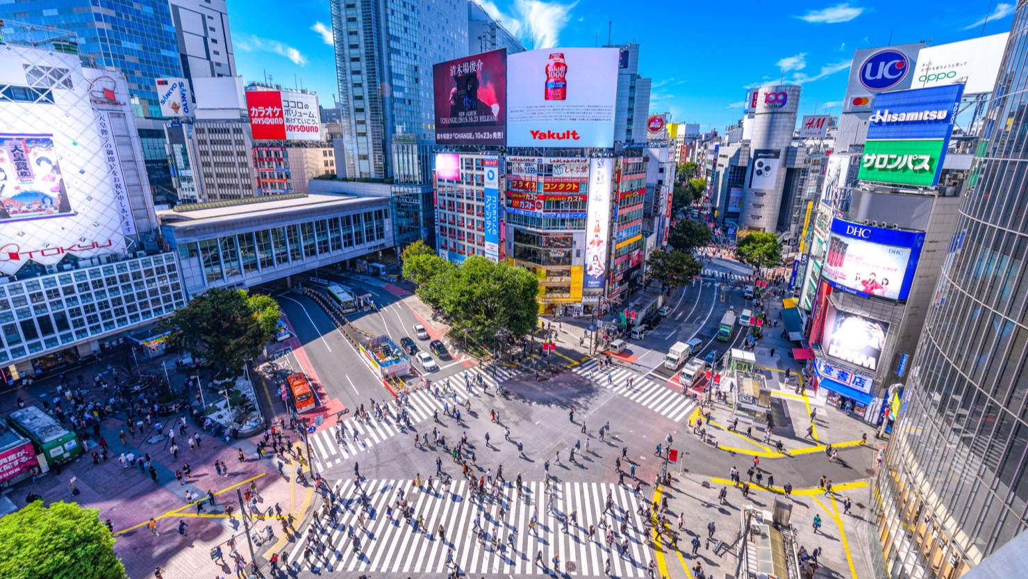 東京私人包車一日景點暢遊(行程可客製):圖片 12