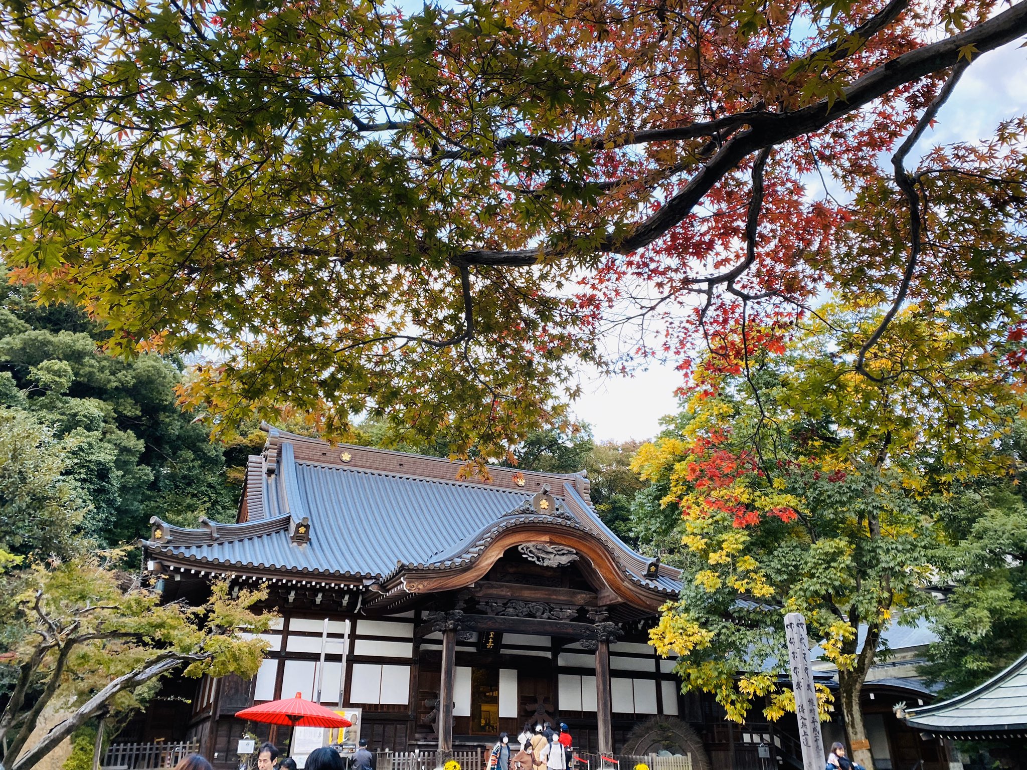 東京出發 高尾山&昭和紀念公園私人一日遊(秋季賞楓):圖片 11