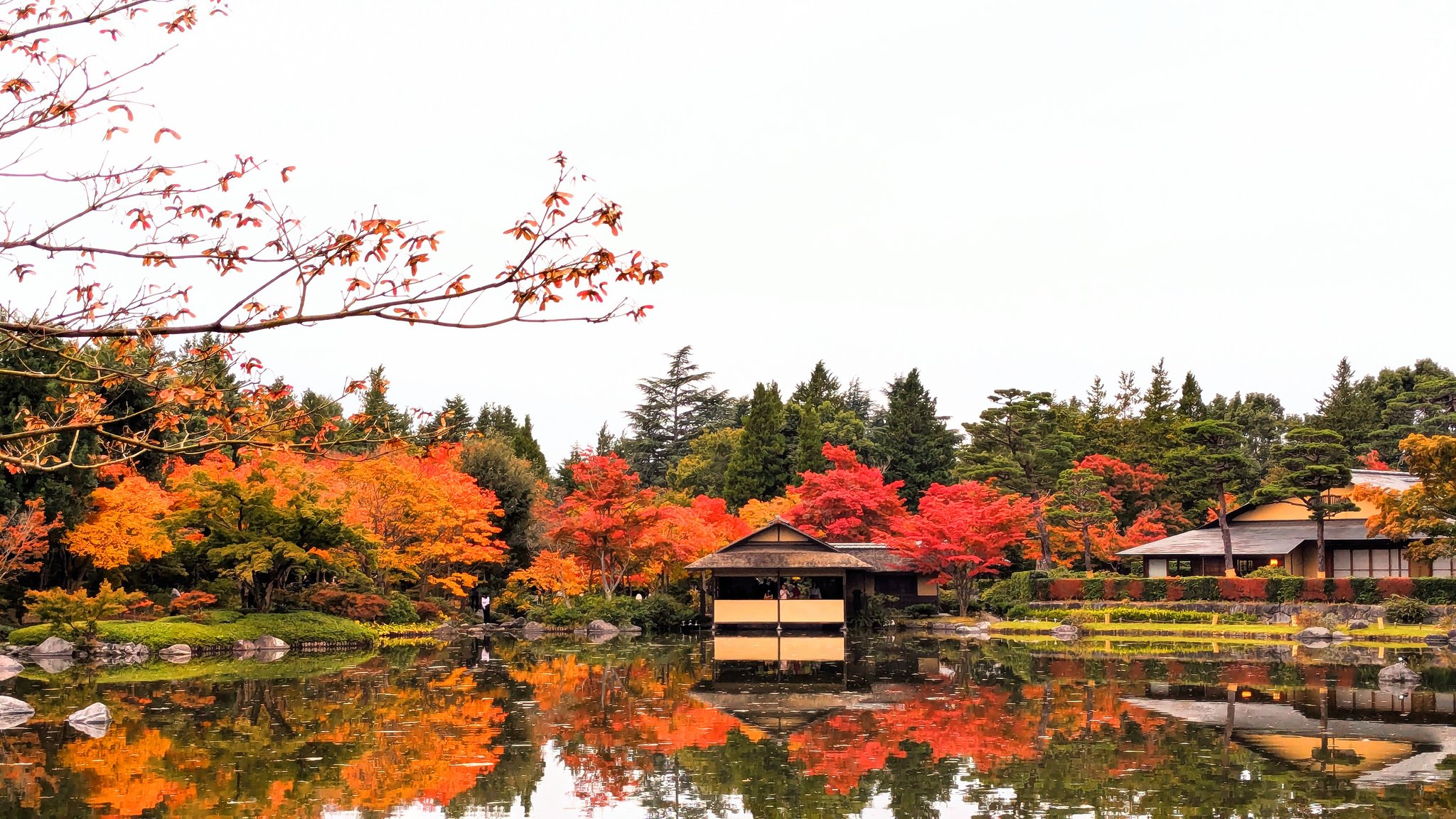 東京出發 高尾山&昭和紀念公園私人一日遊(秋季賞楓):圖片 9