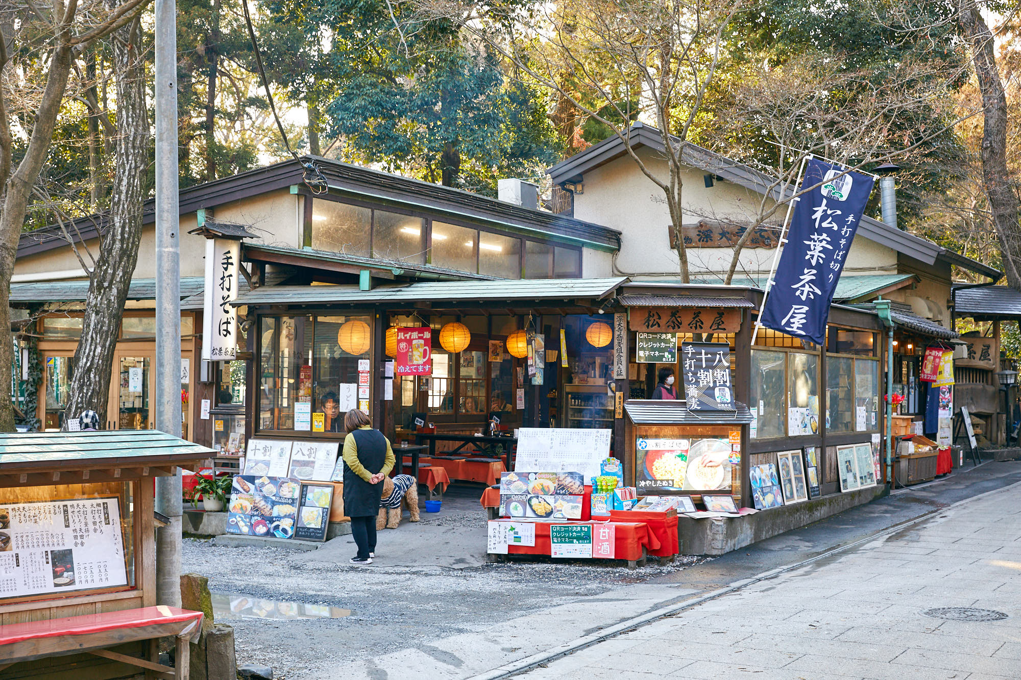 東京出發 高尾山&昭和紀念公園私人一日遊(秋季賞楓):圖片 15