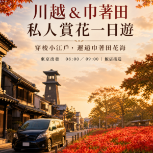 東京出發川越＆巾著田私人包車賞花一日遊