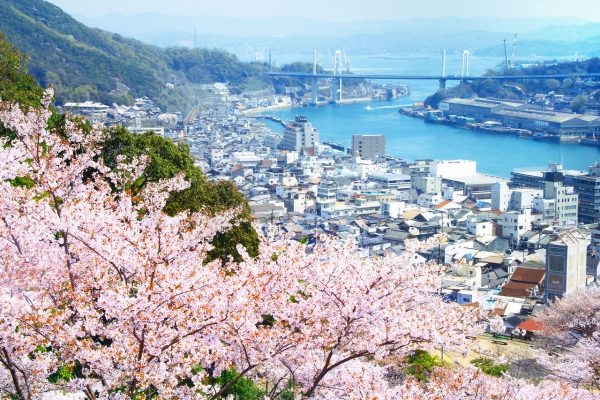 千光寺公園から尾道大橋　新尾道大橋　尾道水道