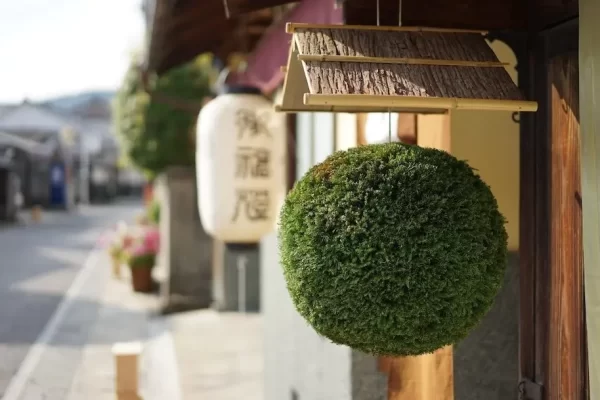 2405-shinshu-1-e1715488188323