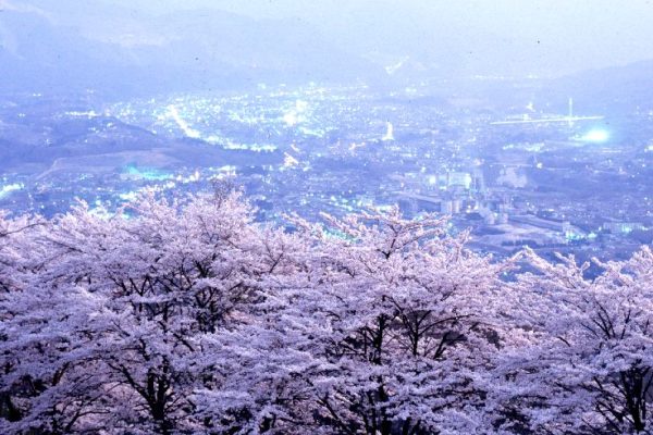 77299ff29c444ca2afc5adef2ee95f09