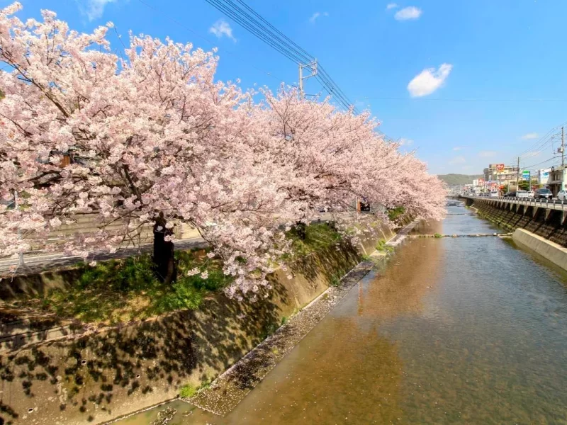 f26613_005_en-US_forBody